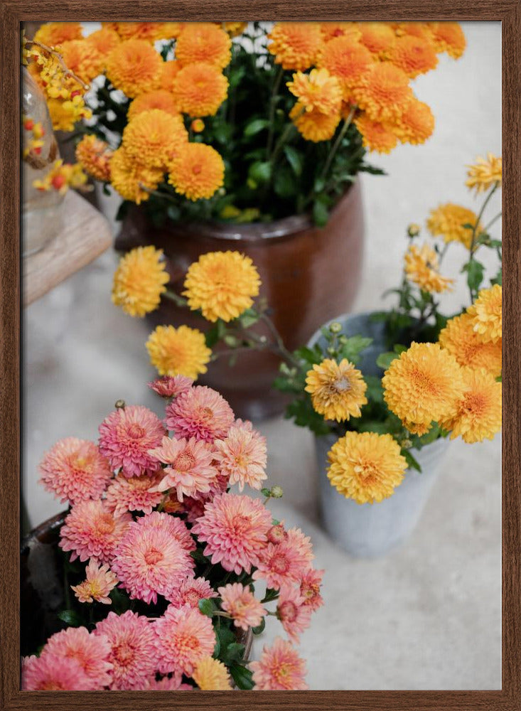 Chrysanthemum Blooms | Autumn Floral Still Life Poster