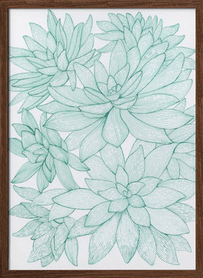 Turquoise Succulents Poster