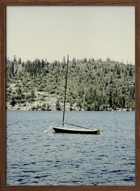 Boat On Pinecrest Poster