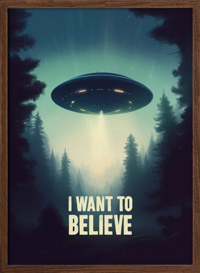 I Want To Believe - UFO Poster