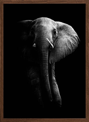 Elephant! Poster