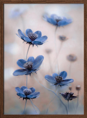 Cosmos blue Poster