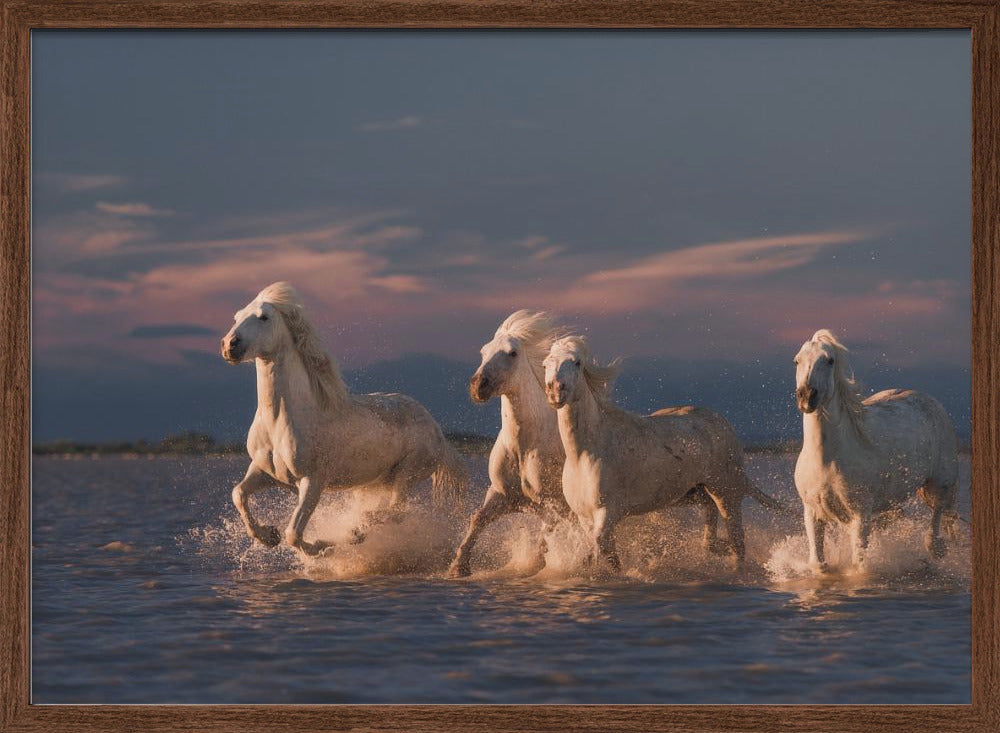 Angels of Camargue Poster