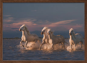 Angels of Camargue Poster