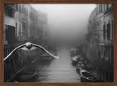 Seagull from the mist Poster