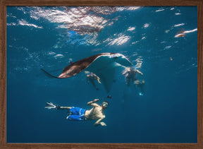 Dive with Manta Ray Poster