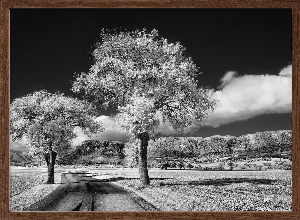 Hohe Wand Poster