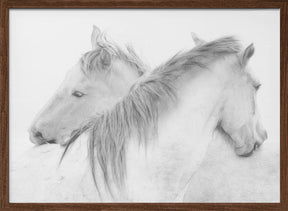 Horses Poster