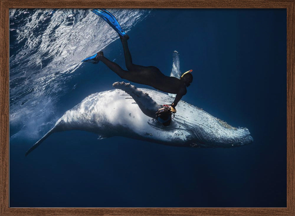 Dancing with whale Poster