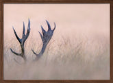 Hide &amp; Seek  ( Horn of Stag) Poster