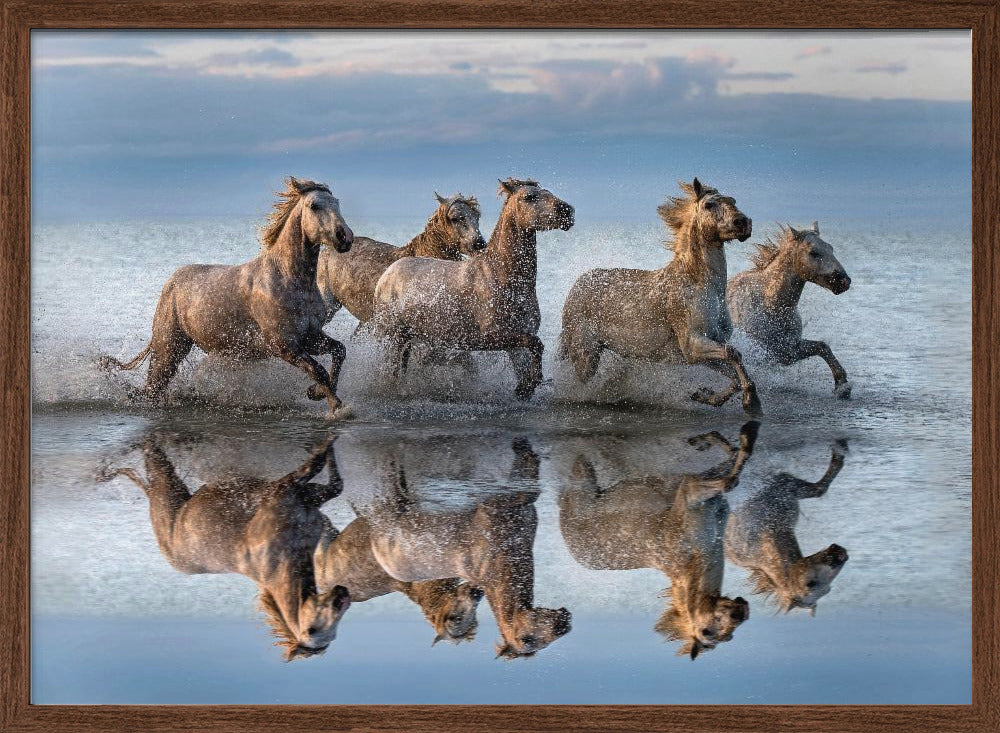 Horses and reflection Poster