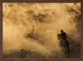 Cappadocia wild horses Poster