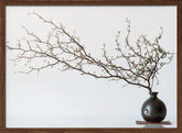 Vase And Branch Poster