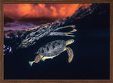 Green turtle and sunset - Sea Turtle Poster