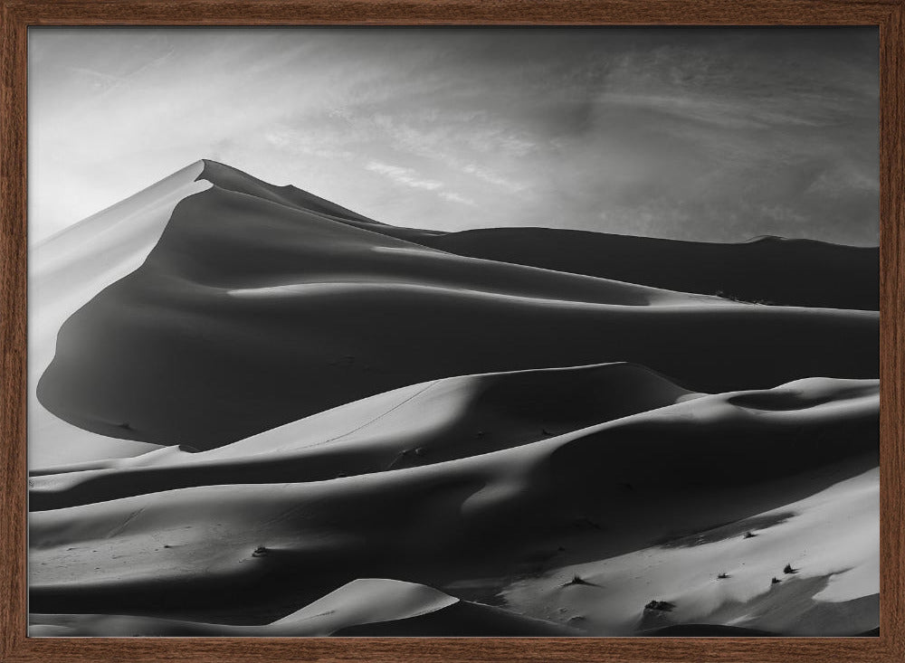 The dune and the sun Poster