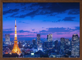 Tokyo night view Poster