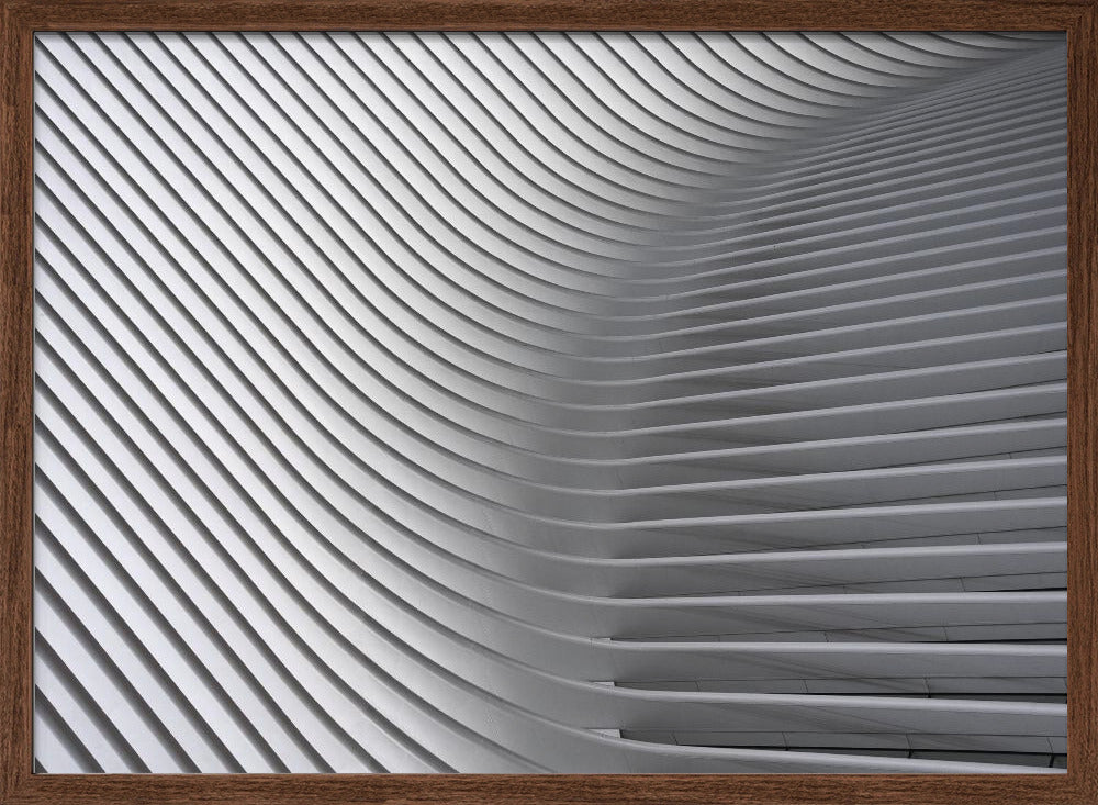 Calatrava Curves # 2 Poster