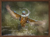 kingfisher Poster