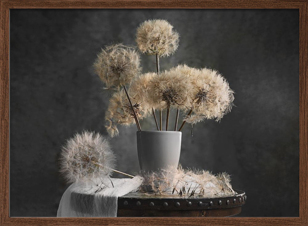 Dandelion Seed Pod Poster