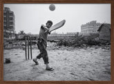 Street cricket Poster