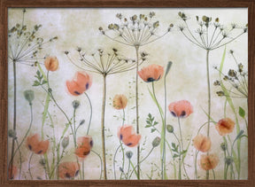 Poppy Meadow Poster