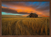 Storm over Palouse Poster