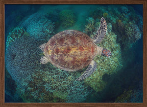 N'Gouja Reef Poster