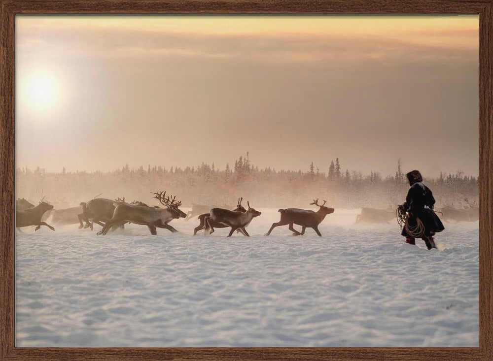 Reindeer hunter Poster