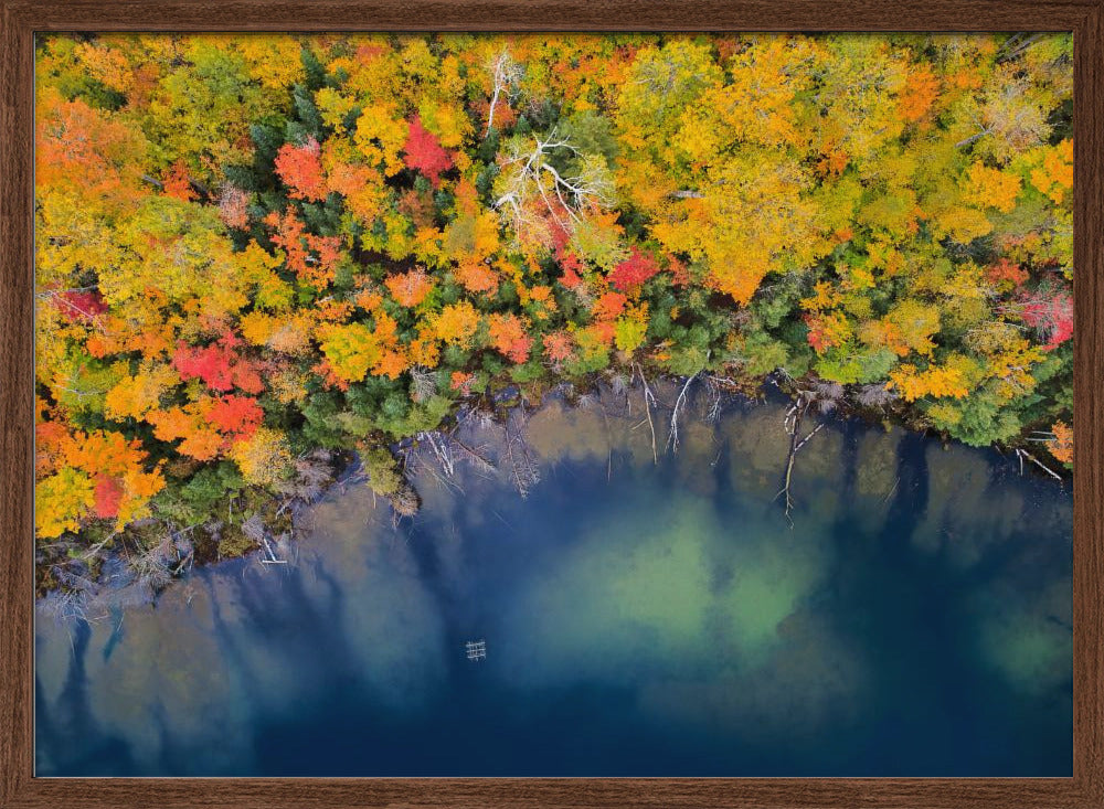 Autumn Pond Poster