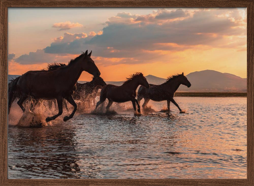 WATER HORSES Poster