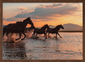 WATER HORSES Poster