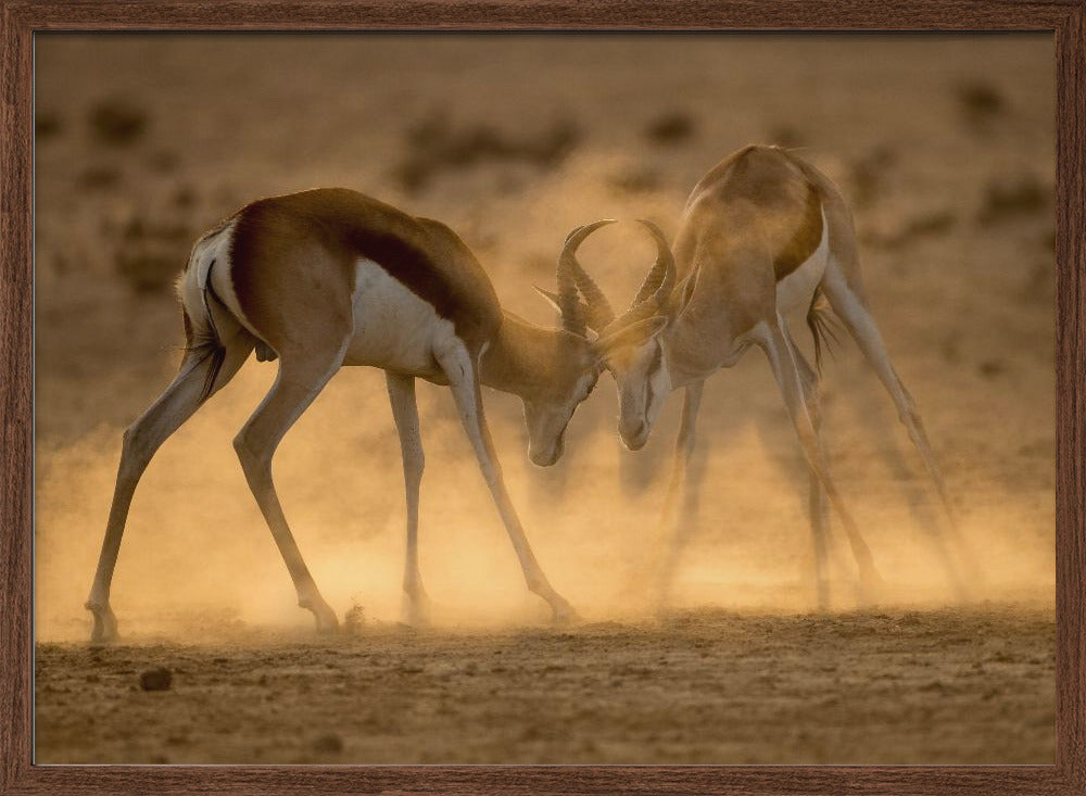 DESERT DUEL Poster