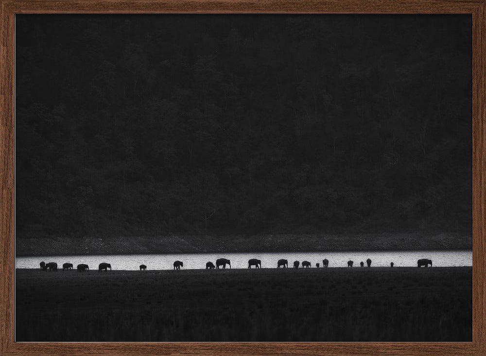 ants or elephants Poster