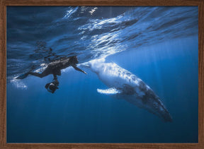 Yann &amp; Whale Poster