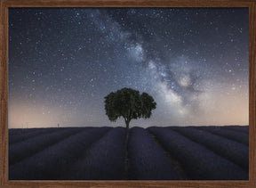 Tree and Milky Way Poster