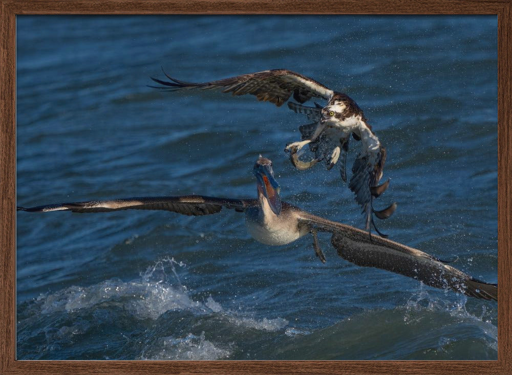 Robbery on the Ocean Poster