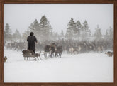 Arkadij drives a herd of reindeer Poster