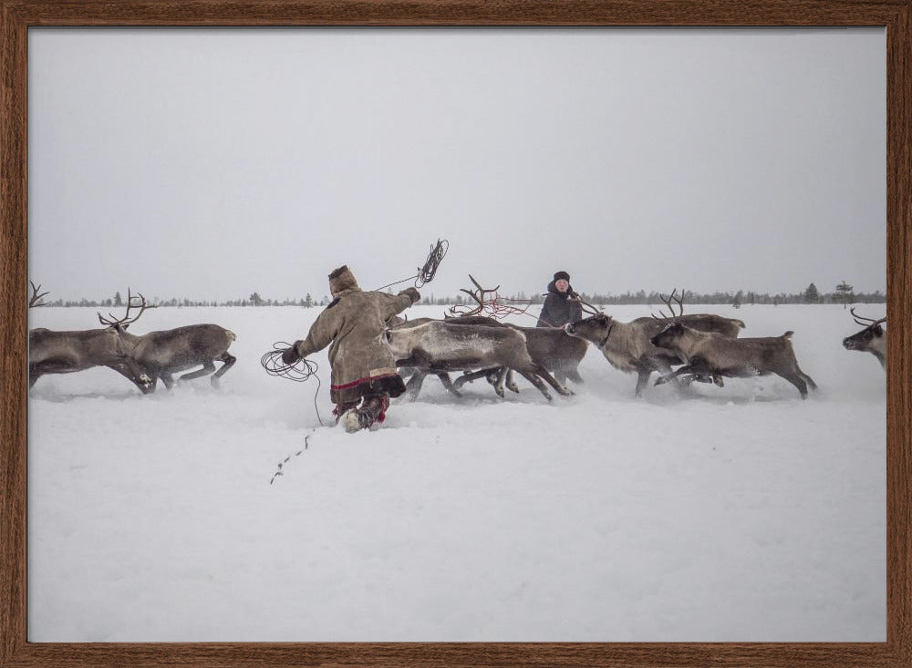 Jigori hunts reindeer I Poster