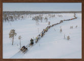 Nenets caravan on the move I Poster