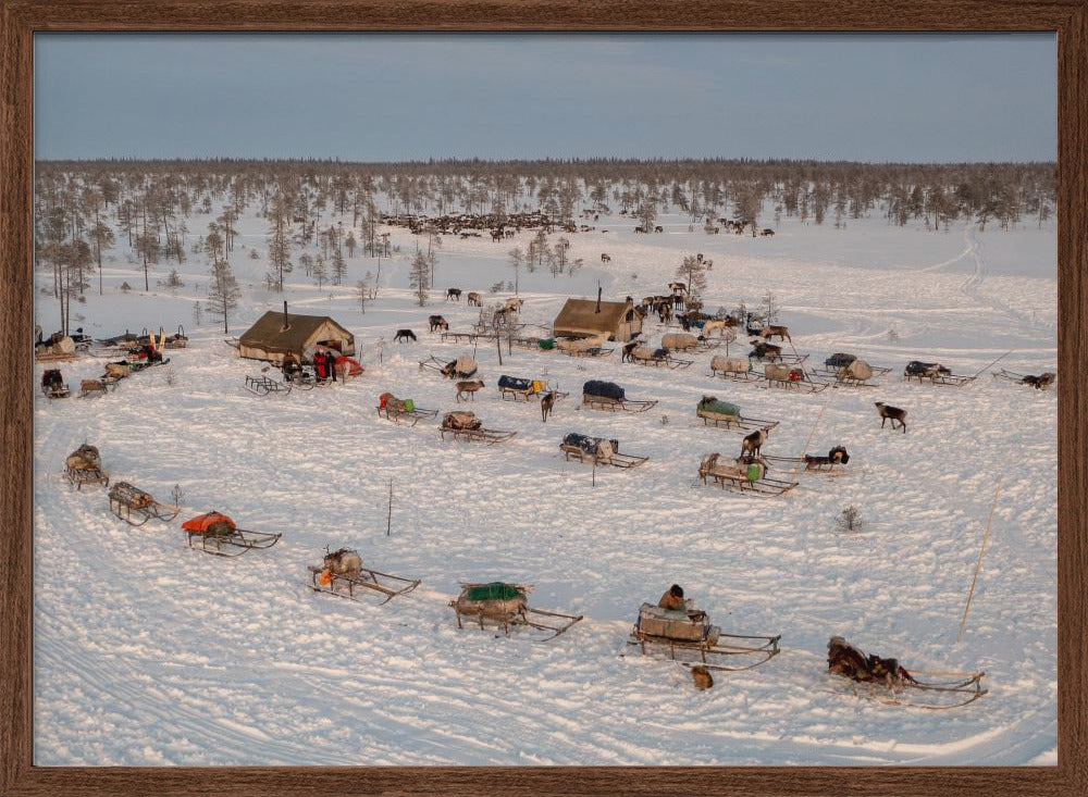 Morning in Nenets camp Poster