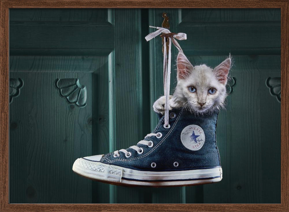 CatShoe Poster