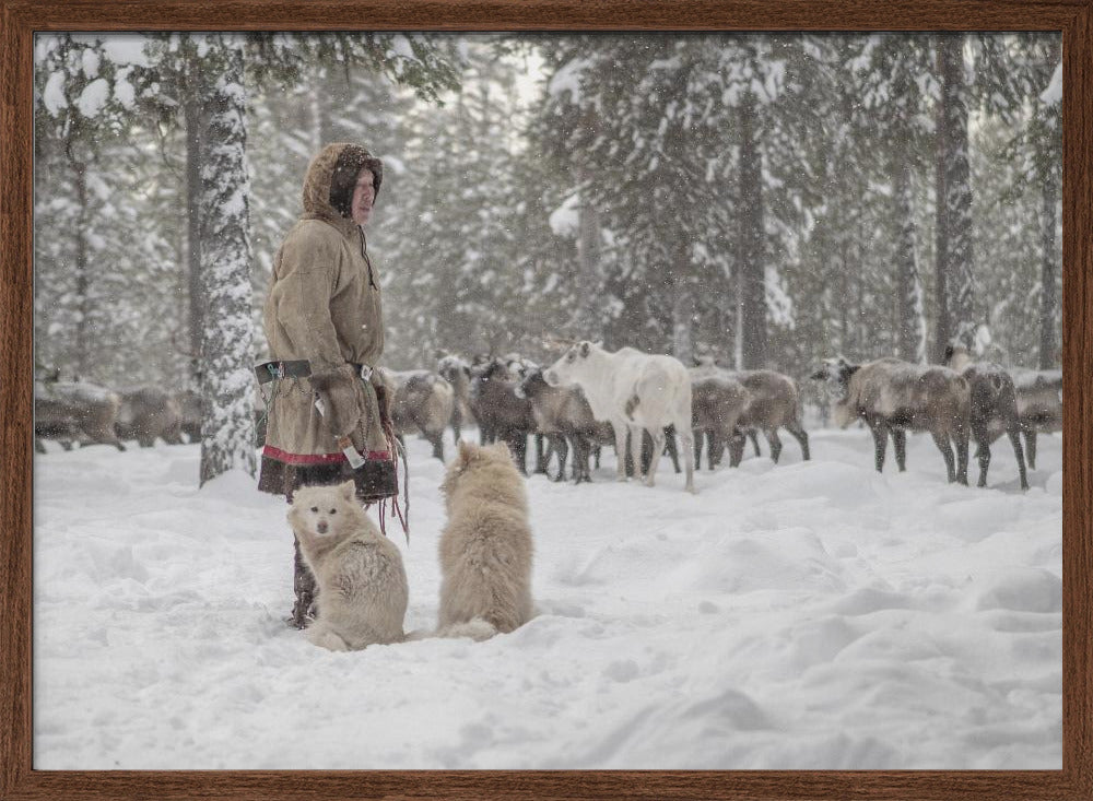 Jigorij, dogs and the herd Poster