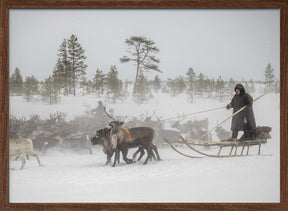 Arkadij and Kostya are riding the herd Poster