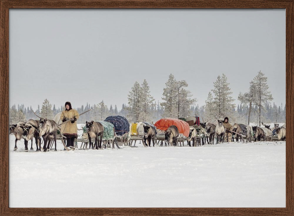 Women from the 8th Brigade on their way to the new camp Poster