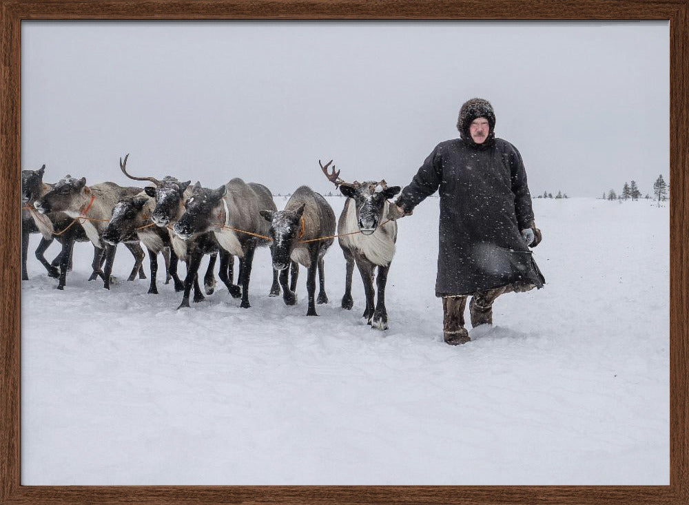 Arkadij and his reindeers Poster