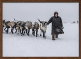 Arkadij and his reindeers Poster