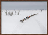 Crossroads in the tundra Poster