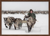 Semjon leads the herd Poster