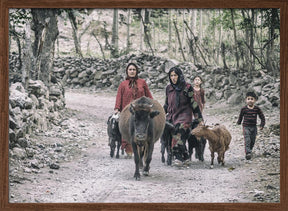 Tajik women and livestock on the way from pastures Poster