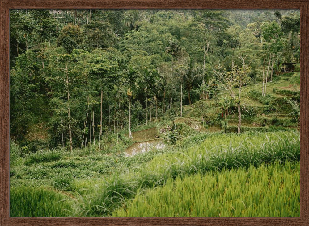 Tetebatu Lombok Poster